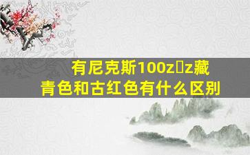 有尼克斯100z z藏青色和古红色有什么区别